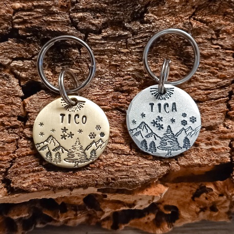 Médaille chien gravée  et personnalisée "Tico"