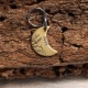 Médaille gravée pour chien forme lune en laiton
