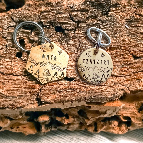 Médaille identité chien "Tzatziki" en laiton, gravée à la main et personnalisée
