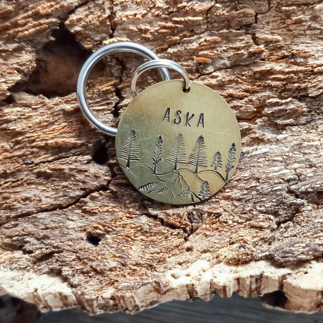 Médaille en laiton personnalisée et gravée chien "ASKA" 