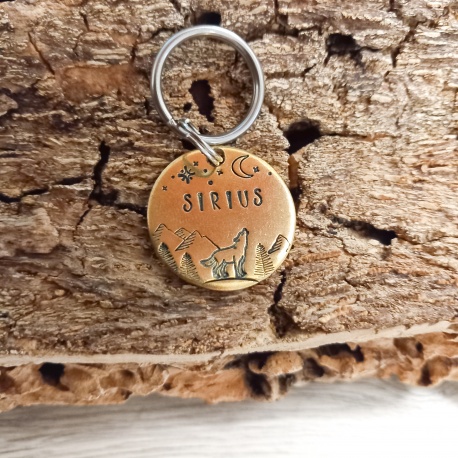 Médaille chien ronde 25mm en laiton gravée et personnalisée