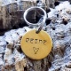 Médaille chien personnalisée en laiton La Minimaliste 