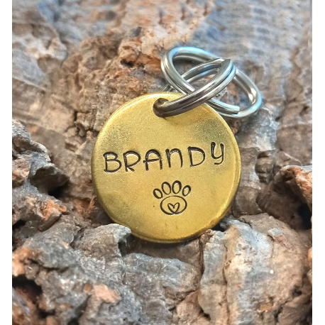 Médaille chien personnalisée en laiton La Minimaliste 