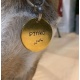 Médaille chien personnalisée en laiton La Minimaliste 