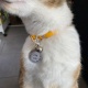 Médaille personnalisée pour chien ou chat gravée "La bordure"
