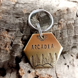 Médaille personnalisée et gravée en laiton pour chien "Arcadia"