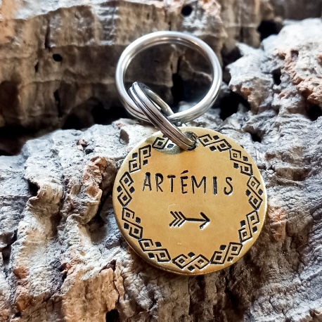 Médaille personnalisée pour chien ou chat gravée "La bordure"
