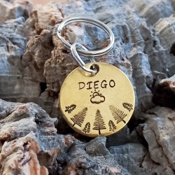 Médaille chien gravée  et personnalisée en laiton "Diego"