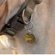 Médaille chien en laiton personnalisée et  gravée "Marvin"
