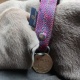 Médaille gravée et personnalisée pour chien chat " Velvet"