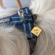 Médaille gravée pour petit chien ou chat "Vaiana"