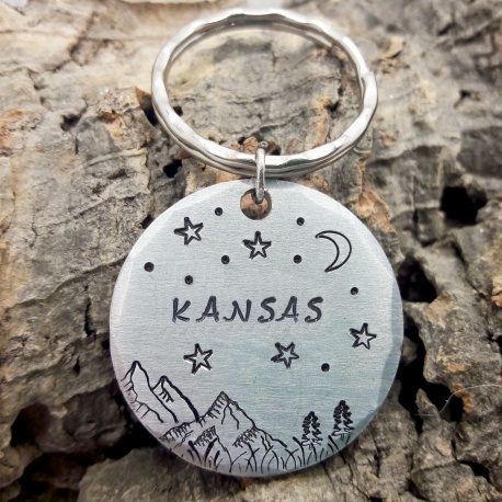 Médaille identité ronde chien ou chat en aluminium ou laiton, gravure nom et numéro de téléphone
