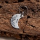Médaille gravée pour chien "Poppy" forme lune en laiton ou aluminium