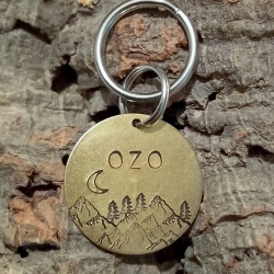 Médaille en laiton pour chien gravée "Oz"
