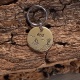 Médaille gravée et personnalisée en laiton pour chien "Viking"