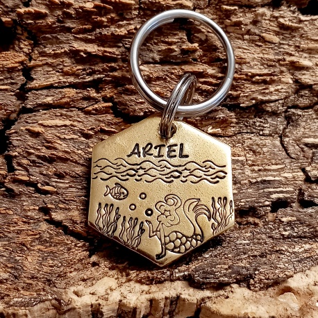 Médaille en laiton ou aluminium pour chien gravée à la main avec nom et numéro de téléphone
