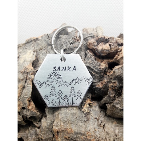 Médaille identité chien gravée" Sanka" forme hexagone