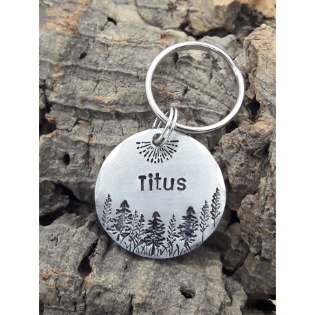 Médaille identité ronde chien ou chat en aluminium ou laiton Titus