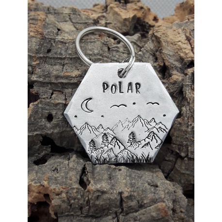 Médaille identité ronde chien ou chat en aluminium ou laiton, gravure nom et numéro de téléphone