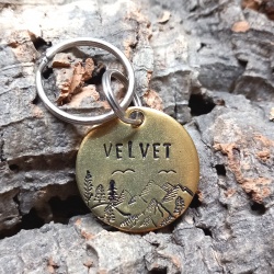Médaille gravée et personnalisée pour chien chat " Velvet"