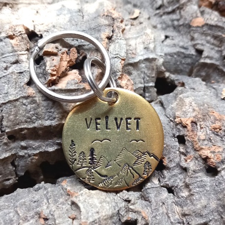 Médaille gravée et personnalisée pour chien chat " Velvet"