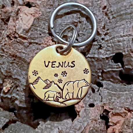Médaille gravée et personnalisée en laiton pour chien " Venus"