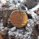 Médaille personnalidée pour chien ou chat gravée "Wookie"