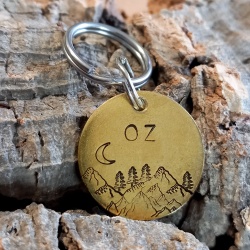 Médaille en laiton pour chien gravée "Oz"