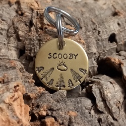 Médaille chien gravée  et personnalisée en laiton "Diego"
